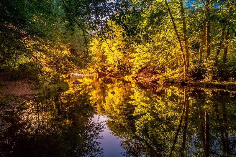 موتيل Shady Cove مابل ليف موتل المظهر الخارجي الصورة