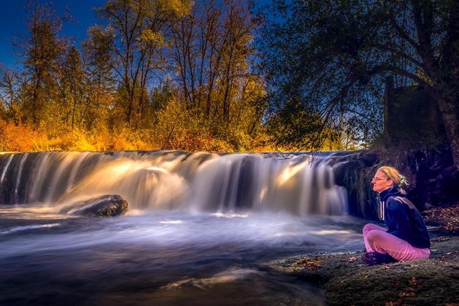 موتيل Shady Cove مابل ليف موتل المظهر الخارجي الصورة